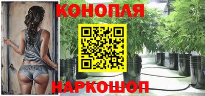 сатива Берёзовский
